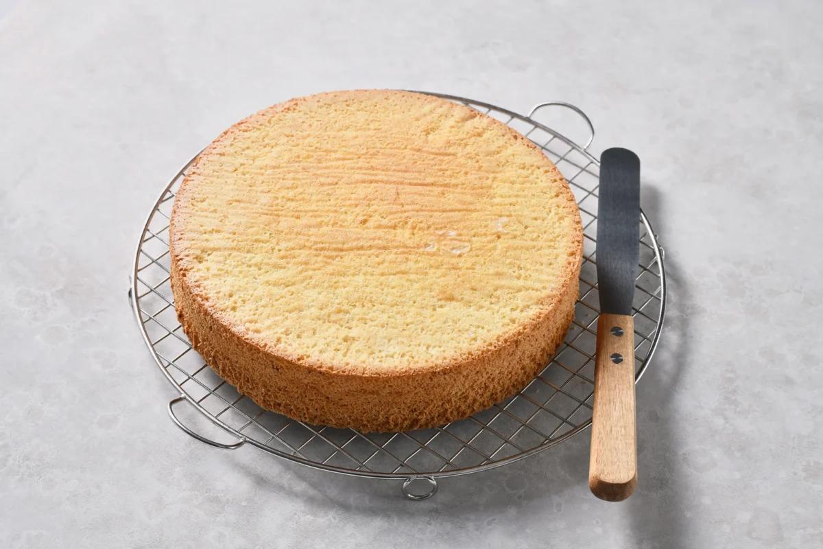 Biskuit, aus der Kategorie . Zubereitungsmethode Backen. Das fertige Gericht schön angerichtet und fotografiert aus Vogelperspektive (Food Fotografie). Serviervorschlag, Original Tiptopf Rezept, aus dem bekanntesten Kochbuch der Schweiz